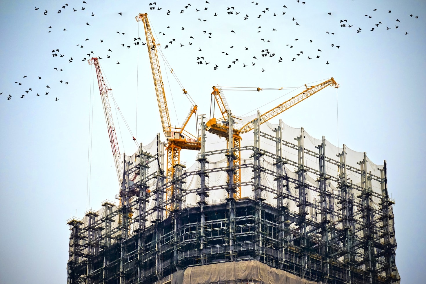How O2 Globalis Streamlines Construction Processes